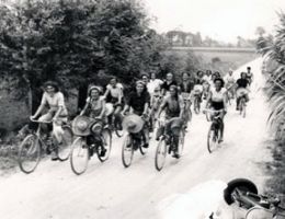 Immagine 1 di RISO CARNAROLI CASCINA BASMETTO