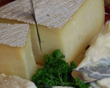 Immagine 1 di ZINGHERLINO CASCINA LA SELVA