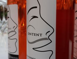 Immagine 1 di MONFERRATO CHIARETTO D.O.C. CONTENT STEFANO ROSSOTTO VINI