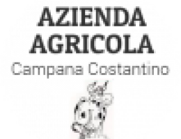 Immagine 2 di OL FORMAIU DE CAMPANA