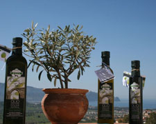 Immagine 1 di OLIO EXTRAVERGINE DI OLIVA CULTIVAR UOVO DI PICCIONE DI CATEGORIA SUPERIORE