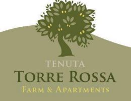 Immagine 2 di OLIO EXTRAVERGINE DI OLIVA BIO BLEND DI  QUALITA' SUPERIORE