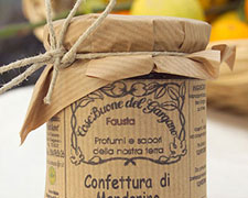 Immagine 1 di Salicornia del Gargano