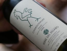 Immagine 1 di COSTA TOSCANA CHARDONNAY D.O.C