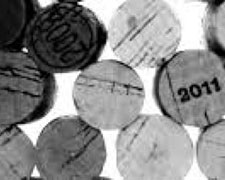 Immagine 3 di TERRE LARIANE I.G.T. ROSSO DEL CAMINONE AGRI SANTA CROCE