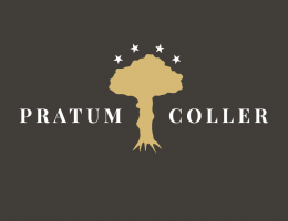 Immagine 5 di MONTENETTO DI BRESCIA I.G.T. RISERVA ARDUO  PRATUM COLLER