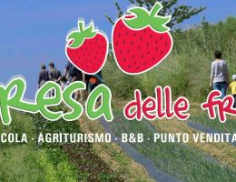 Immagine 2 di FRUTTA & VERDURA BIO TERESA DELLE FRAGOLE