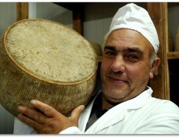 Immagine 1 di CANESTRATO OVINO