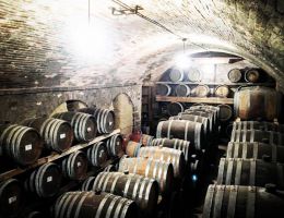 Immagine 2 di LE BALZE TERRE DI PISA ROSSO D.O.C.