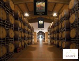 Immagine 2 di BRUNELLO DI MONTALCINO D.O.C.G. POGGIO ALLE MURA