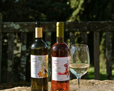 Immagine 1 di CHIANTI CLASSICO RISERVA D.O.C.G.