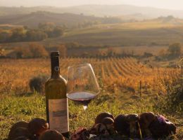 Immagine 2 di CHIANTI CLASSICO RISERVA D.O.C.G.