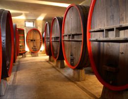 Immagine 2 di IL MATTO DELLE GIUNCAIE I.G.T. TOSCANA ROSSO