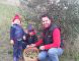 Immagine 4 di OLIO EXTRAVERGINE DI OLIVA QUALITA' SUPERIORE DI PARMA