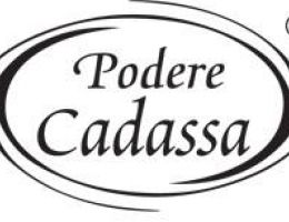 Immagine 4 di SPALLA CRUDA DI PALASONE