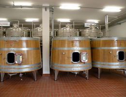 Immagine 4 di TRIBOLO ORCIA D.O.C. SANGIOVESE