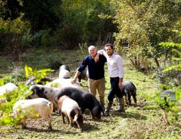 Immagine 2 di PROSCIUTTO CRUDO DI CINTA SENESE D.O.P.
