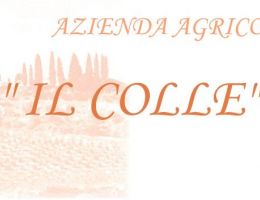 Immagine 3 di OLIO EXTRAVERGINE DI OLIVA TERRE DI SIENA D.O.P.