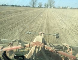 Immagine 3 di RABOSO DEL PIAVE D.O.C. VIGNETO TERRE NOBILI