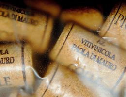 Immagine 4 di LAZIO ROSSO I.G.P. COLLE ROSSO