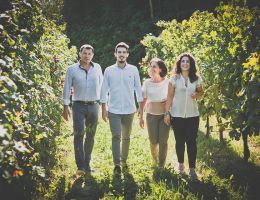 Immagine 1 di LISON PRAMAGGIORE  DOCG CLASSICO