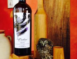 Immagine 2 di LISON PRAMAGGIORE  DOCG CLASSICO