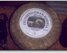Immagine 1 di Pecorino Gran Riserva