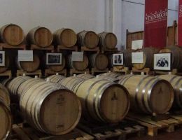 Immagine 5 di 150 LISON CLASSICO D.O.C.G.