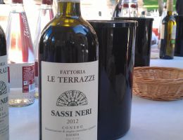 Immagine 1 di CONERO RISERVA D.O.C.G. SASSI NERi