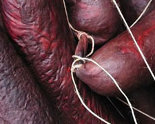 Immagine 1 di MUSTARDELA DELLE VALLI VALDESI SALUMIFICIO VAL PELLICE