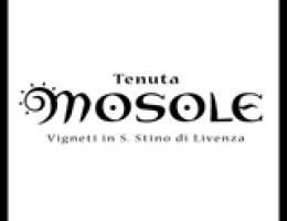 Immagine 1 di PINOT GRIGIO I.G.T. VENETO ORIENTALE PASSI DI LUCE