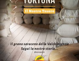 Immagine 3 di PIZZOCCHERI DELLA VALTELLINA I.G.P. BIO MORO PASTA