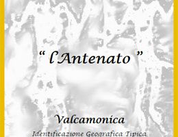 Immagine 1 di VALCAMONICA MERLOT I.G.T.  SELEZIONE L'ANTENATO TERRE DI ERBANNO