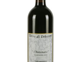 Immagine 2 di VALCAMONICA MERLOT I.G.T.  SELEZIONE L'ANTENATO TERRE DI ERBANNO