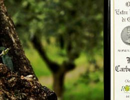 Immagine 5 di OLIO EXTRAVERGINE DI OLIVA CULTIVAR CARBONCELLA DI CATEGORIA SUPERIORE