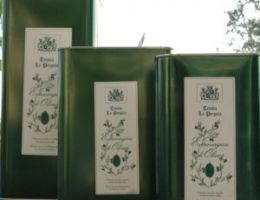 Immagine 2 di OLIO EXTRAVERGINE DI OLIVA D.O.P. GARDA ORIENTALE