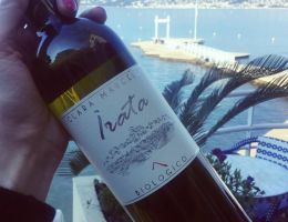 Immagine 2 di OFFIDA PECORINO D.O.C.G. BIO IRATA CLARA MARCELLI