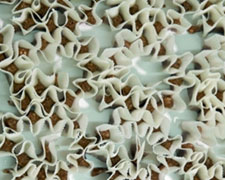 Immagine 2 di CASCHETTES DI BELVI