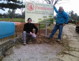 Immagine 1 di OLIO EXTRAVERGINE DI OLIVA CULTIVAR BIANCHERA DI TRIESTE