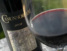 Immagine 3 di VALCAMONICA ROSSO I.G.T. CAMUNNORUM ROCCHE DEI VIGNALI