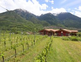 Immagine 4 di VALCAMONICA ROSSO I.G.T. CAMUNNORUM ROCCHE DEI VIGNALI