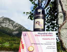 Immagine 1 di VALCAMONICA ROSSO I.G.T. CAMUNNORUM ROCCHE DEI VIGNALI