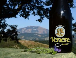 Immagine 1 di VENERE BIONDA STILE PALE ALE