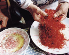 Immagine 1 di ZAFFERANO DI TURRI D.O.P.