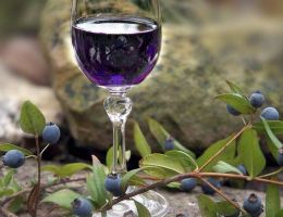 Immagine 1 di MIRTO DI VILLACIDRO