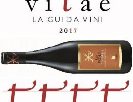 Immagine 3 di VERDICCHIO DEI CASTELLI DI JESI  RISERVA  CLASSICO D.O.C.G. SAN PAOLO