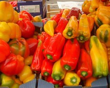 Immagine 1 di PEPERONE QUADRATO DI CARMAGNOLA TENUTA MOLINASSO