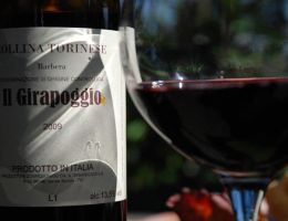 Immagine 1 di COLLINA TORINESE BARBERA D.O.C. IL GIRAPOGGIO VINI