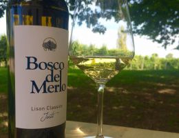 Immagine 1 di LISON PRAMAGGIORE D.O.C.G. CLASSICO JUTI