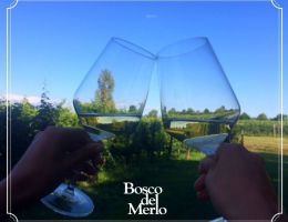 Immagine 2 di LISON PRAMAGGIORE D.O.C.G. CLASSICO JUTI